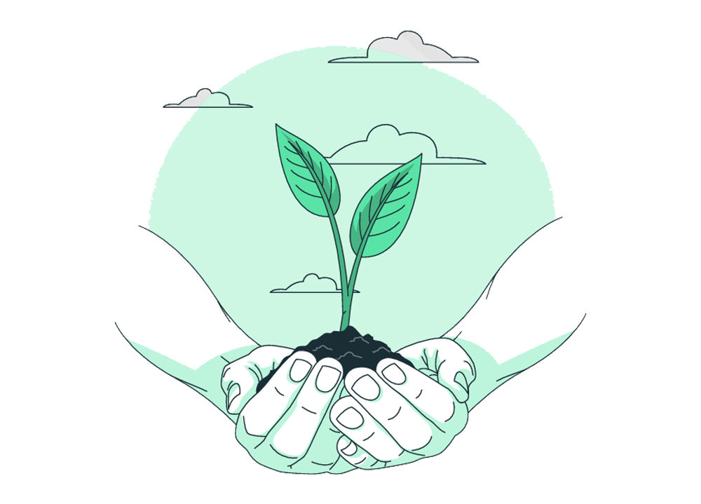 Ilustración manos con una planta