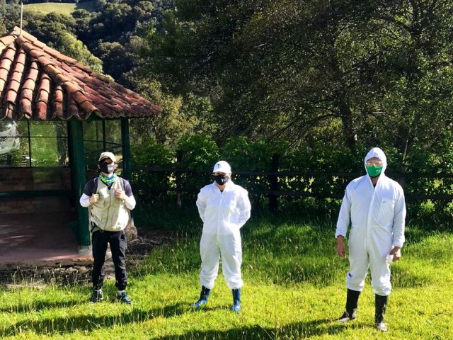Tres hombres del equipo de la ANT, están realizando trabajo de campo, dos ellos llevan puesto trajes de protección contra las abejas. de fondo se ven árboles, una casa y pasto verde.