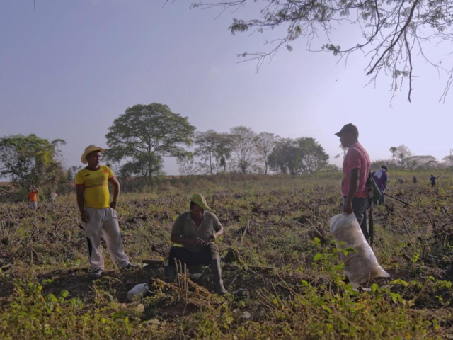 Aparecen tres campesinos trabajando la tierra. De fondo hay árboles y seis campesinos más.