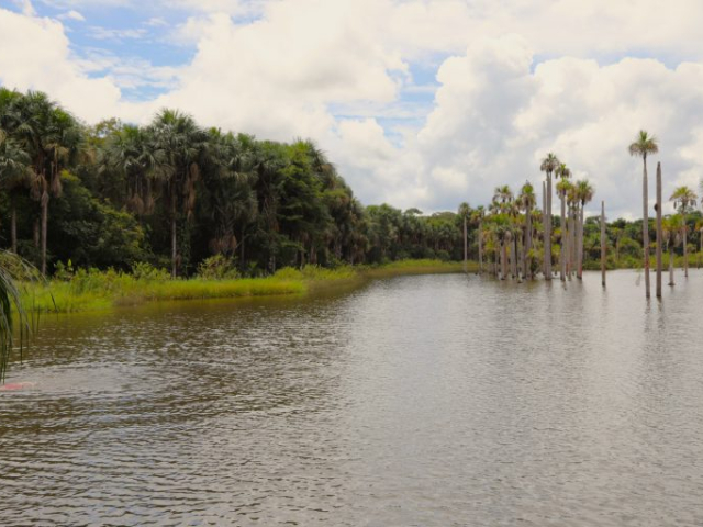 Fotografía de una reserva natural hídrica rodeada de árboles.