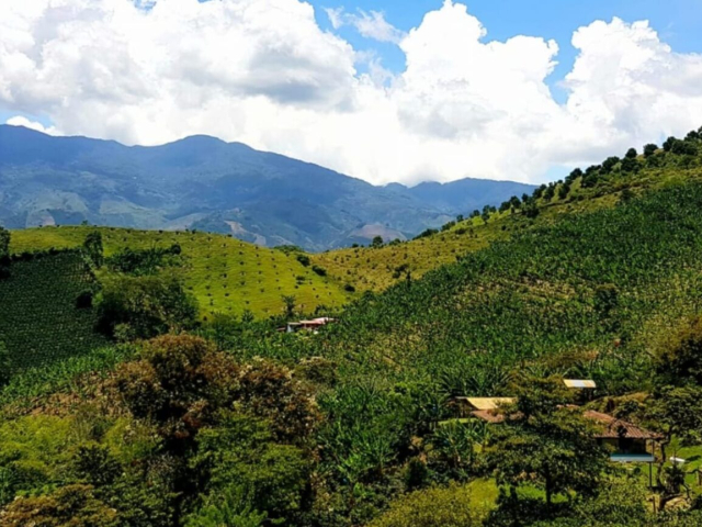 Fotografía de las montañas en algún lugar de Belén de Umbría, en Risaralda.