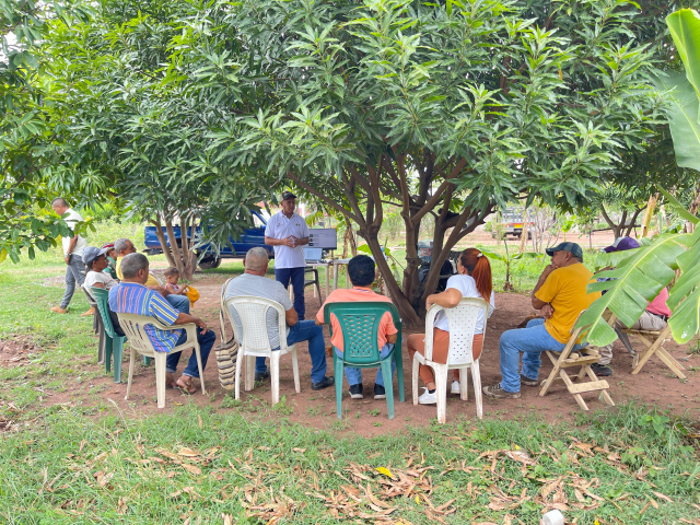 un-grupo-de-personas-sentados-alrededor-de-un-arbol