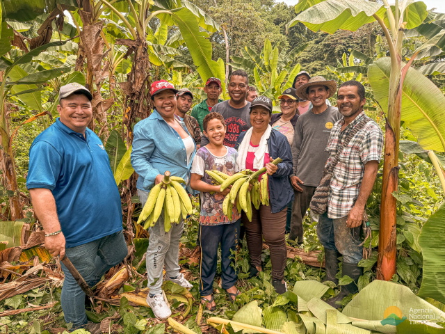 un-grupo-de-personas-parados-en-un-campo-de-platano
