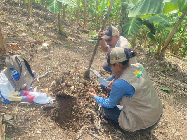 tres-personas-estan-plantando-arboles-en-el-campo