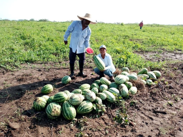 Familias del predio El Limón ya comercializan los alimentos de la Reforma Agraria en Plato, Magdalena