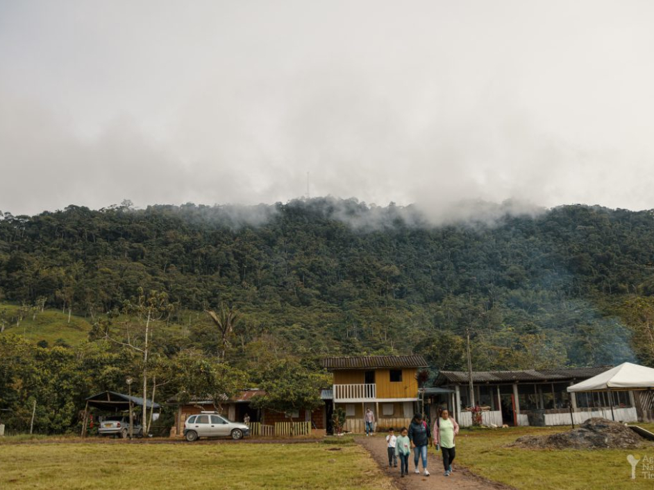 Foto de los árboles, la montaña y las casas en La Tuna - Cauca