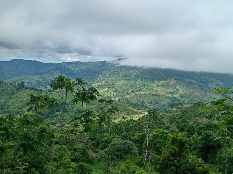 Paisaje de tierras ant