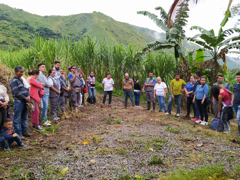 grupo-de-campesino-con-montana-y-plataneras-alrededor