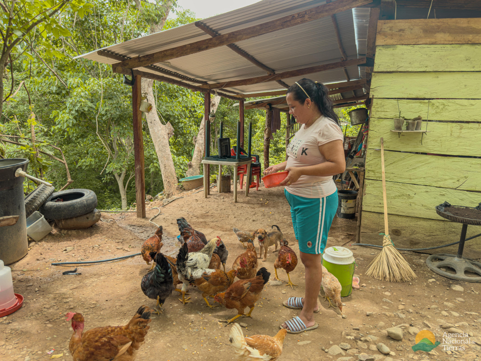 una-mujer-alimentando-pollos-en-una-pequea-cabana