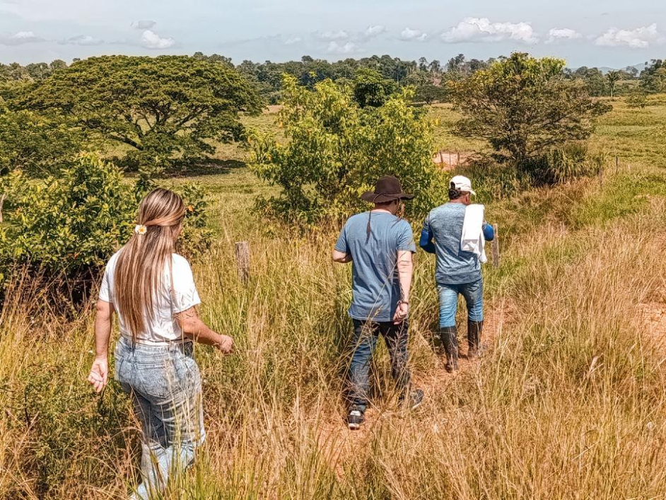 tres-personas-caminando-por-un-sendero-en-medio-de-un-campo