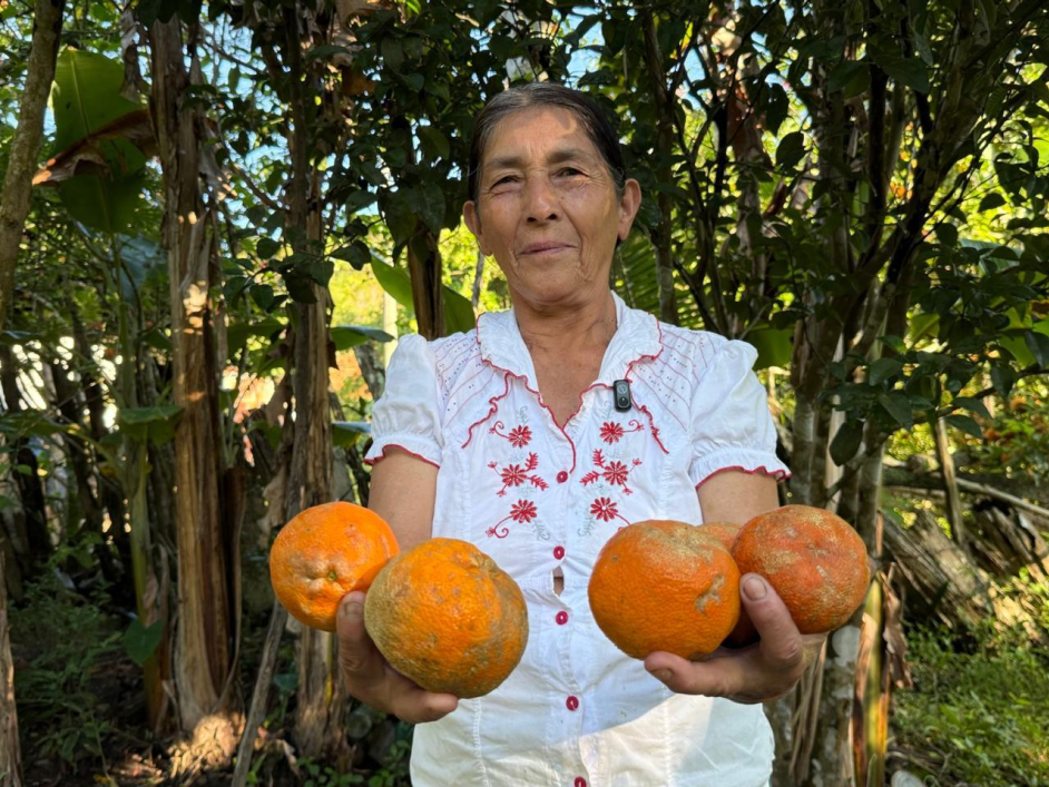 una-mujer-sosteniendo-naranjas-frente-a-los-arboles