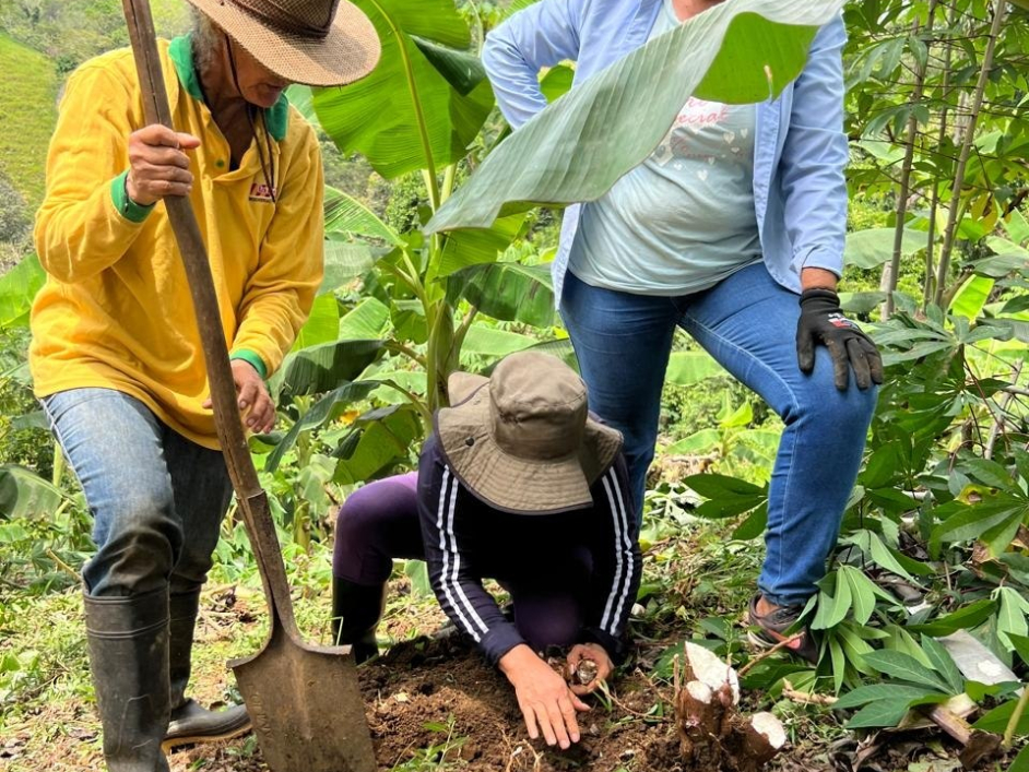 Mujeres rurales de Puerto Triunfo, Antioquia, transforman 115 hectáreas de la Reforma Agraria  en soberanía alimentaria